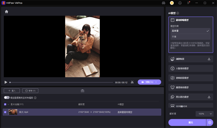 選擇AI影片修復模型