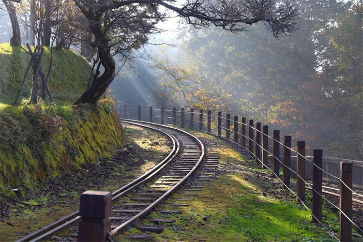 阿里山國家森林遊樂區