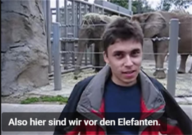 YouTube 第一支影片《Me at the Zoo》