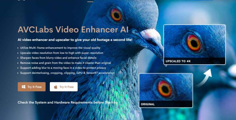AVCLabs Video Enhancer AI زيادة دقة الفيديو
