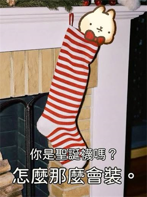 聖誕節梗圖15