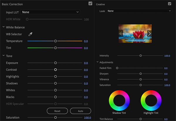 Adobe Premiere Pro