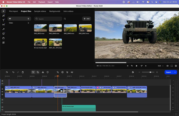 Movavi Video Editor