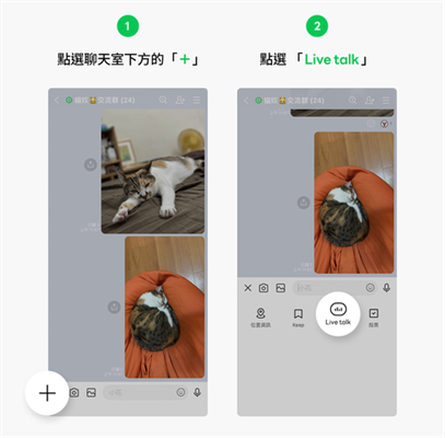 Live Talk語音互動