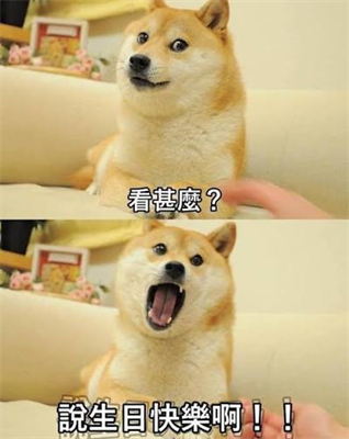 生日快樂梗圖15