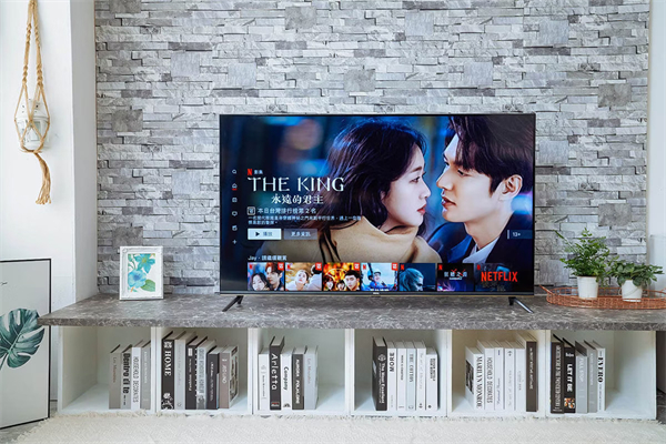Netflix電視播放