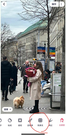 找到馬賽克功能