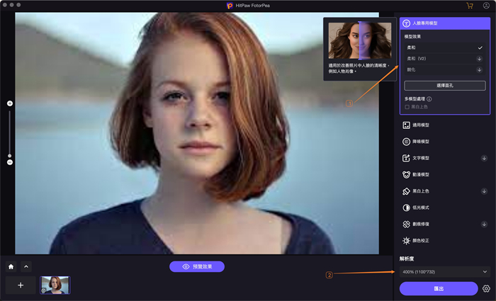 選擇AI模型和解析度
