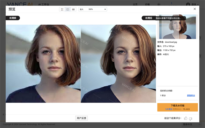 vance ai將照片變清晰