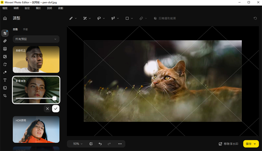 Movavi Photo Editor