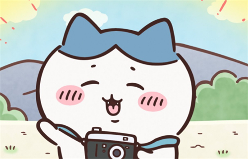 小八貓