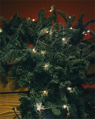 LED 光纖星光串燈