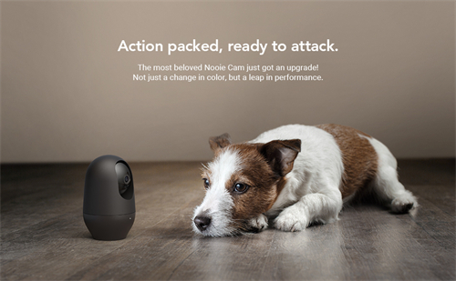 Nooie Cam 360 智慧攝影機