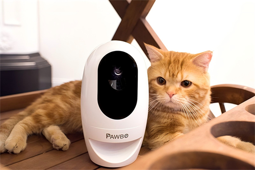 Pawbo+ 寵物互動攝影機