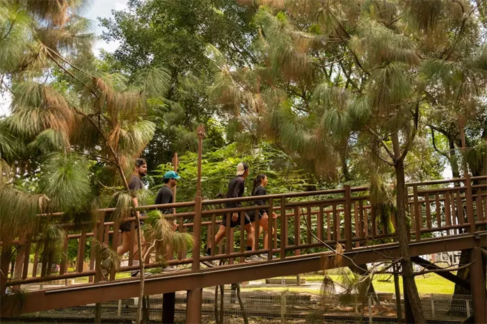 溪頭自然教育園區