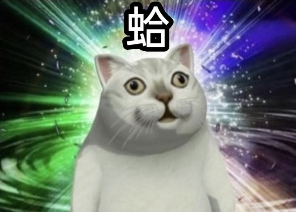 蛤？貓