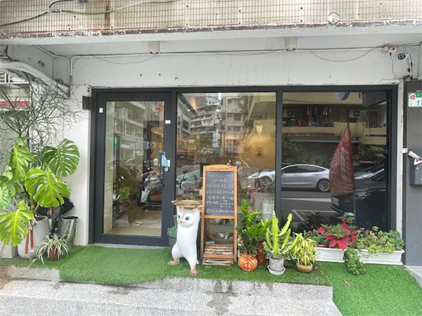 朵朵嚐嚐貓咪中途咖啡廳