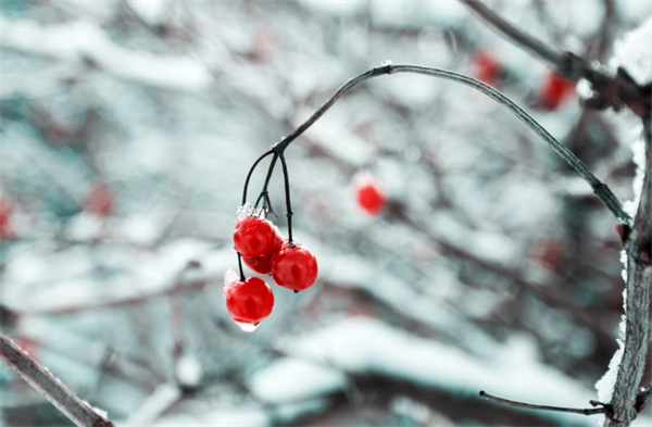 對長輩的冬至祝福語