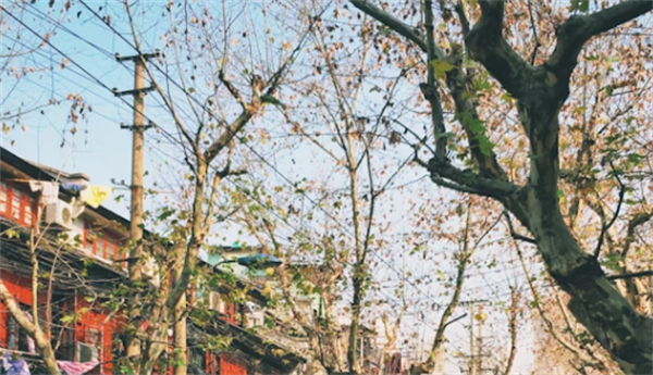 對朋友的冬至祝福語