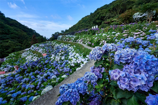 初夏限定自然體驗
