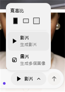 輸入提示字並選擇影片比例
