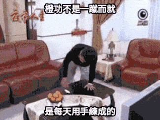 cat vs christmas tree gif