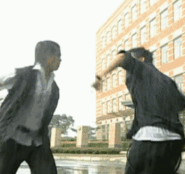 cat vs christmas tree gif