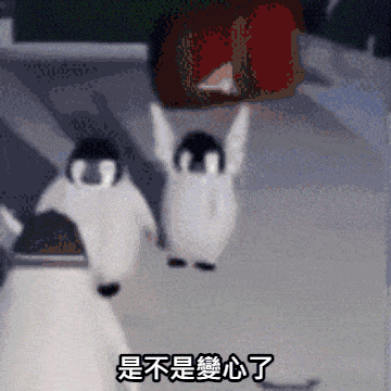 cat vs christmas tree gif