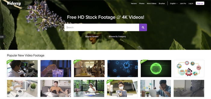 videezy