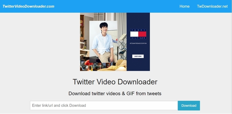 Twitter影片在線下載工具,Twitter Video Downloader